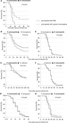 Immune priming modulates Galleria mellonella and Pseudomonas entomophila interaction. Antimicrobial properties of Kazal peptide Pr13a